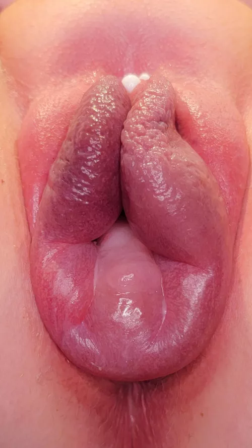 Pretty N' Pink [OC][F]