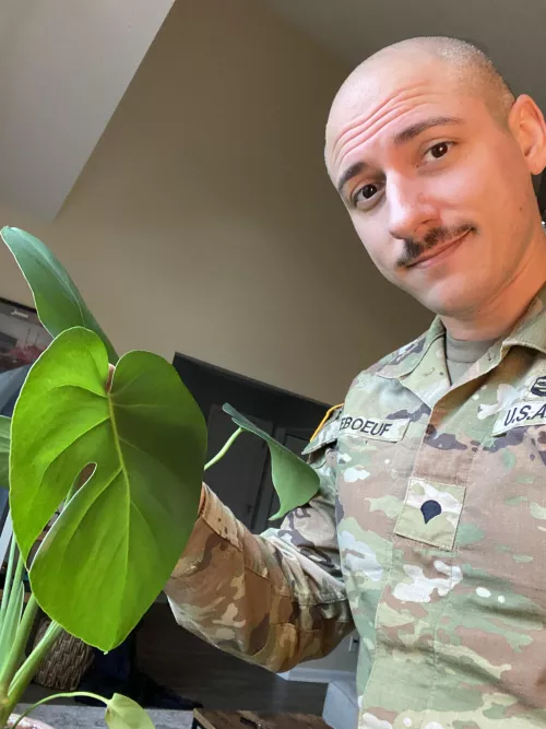 Pretty proud of my first fenestrated leaf on my Monstera!