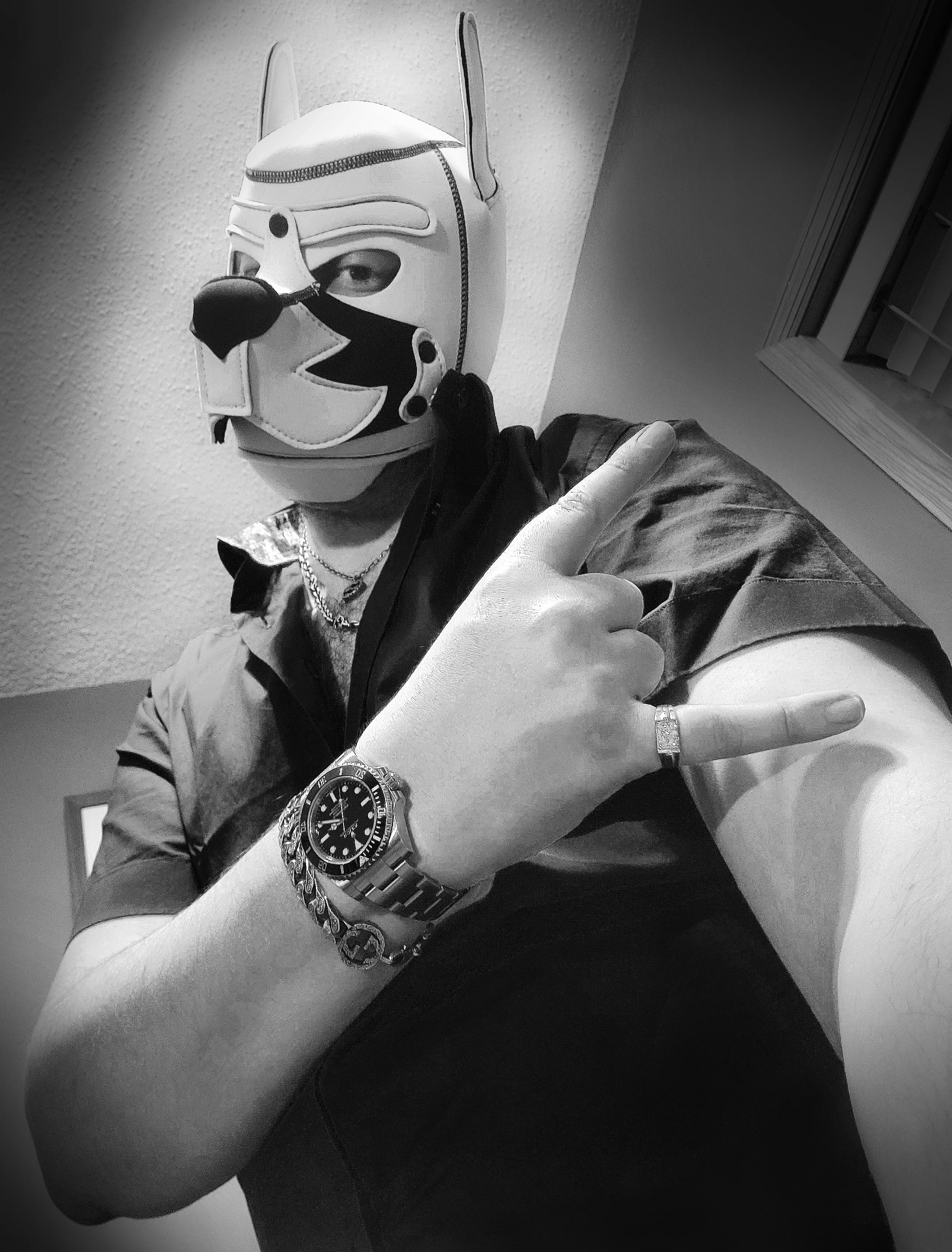 PSA: Pup on, my good boys!!!!!!