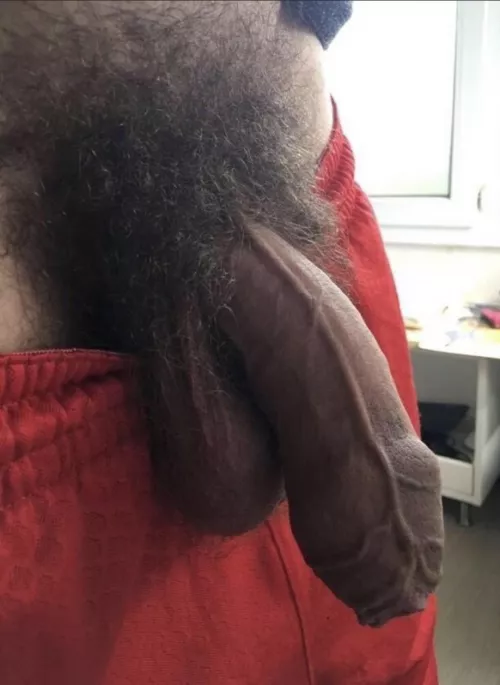 Pubes and veins