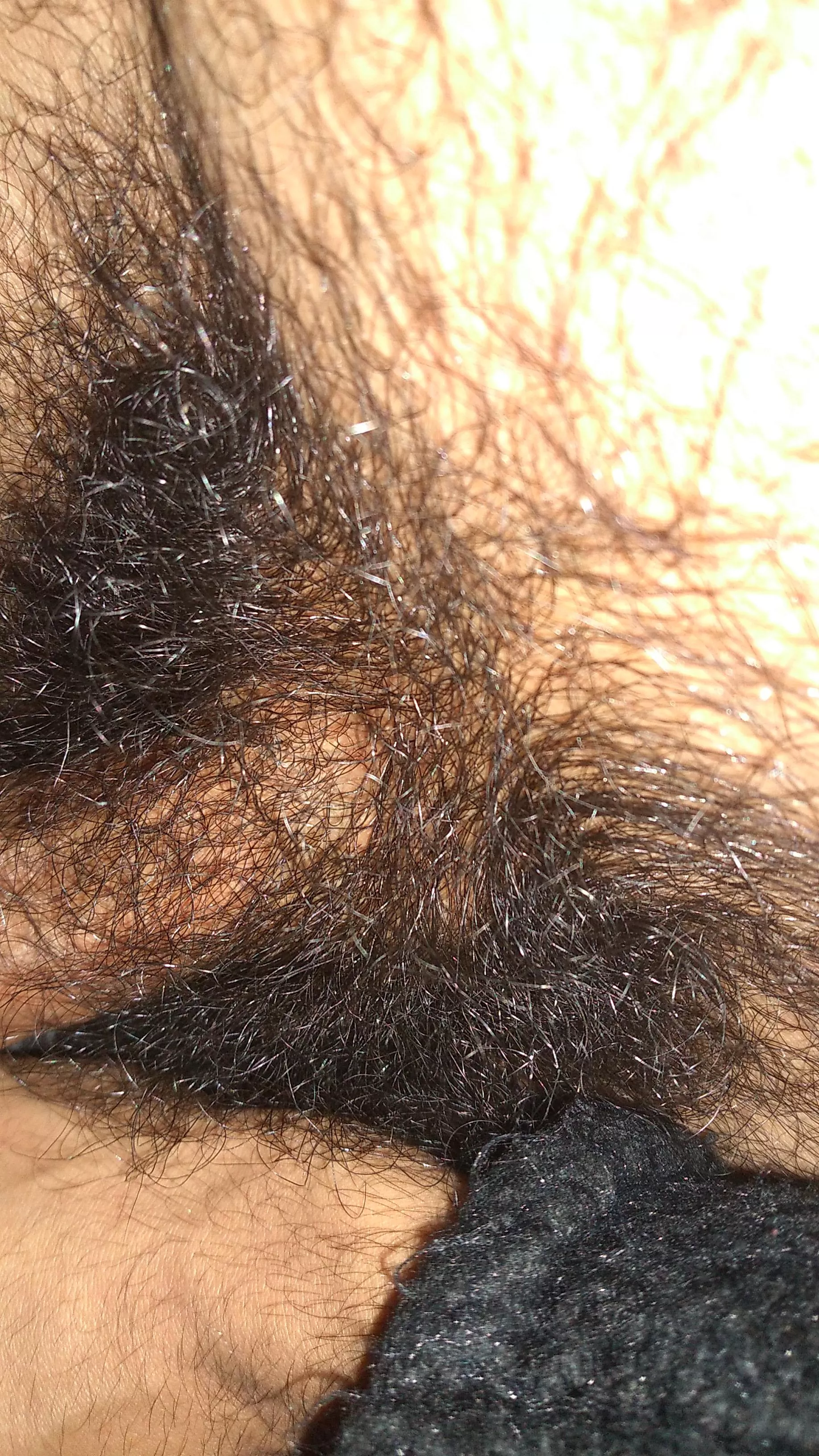 Pubes are the best