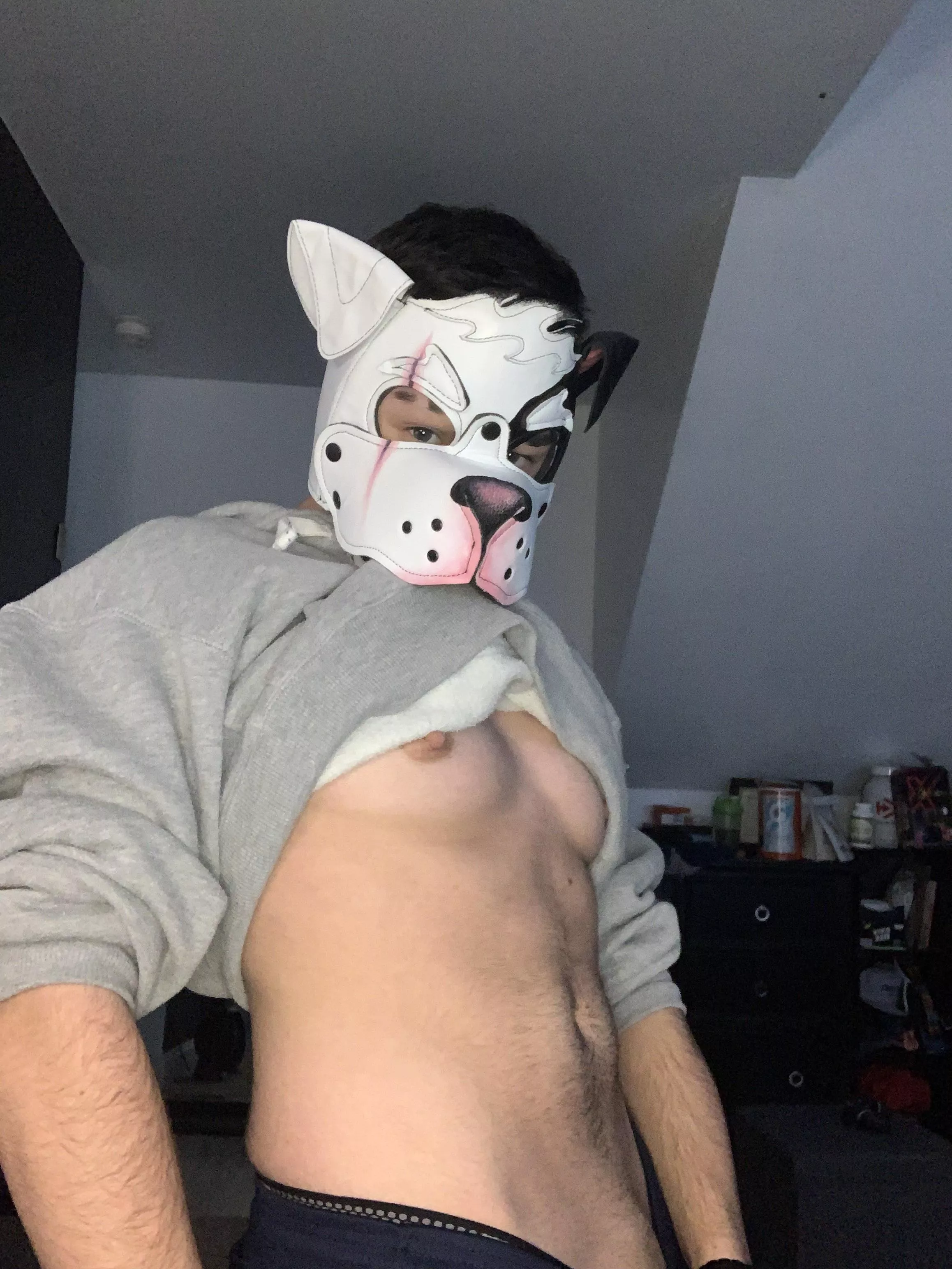 Puck wants to play with all the cute puppies here 🥰🐾💪🏻