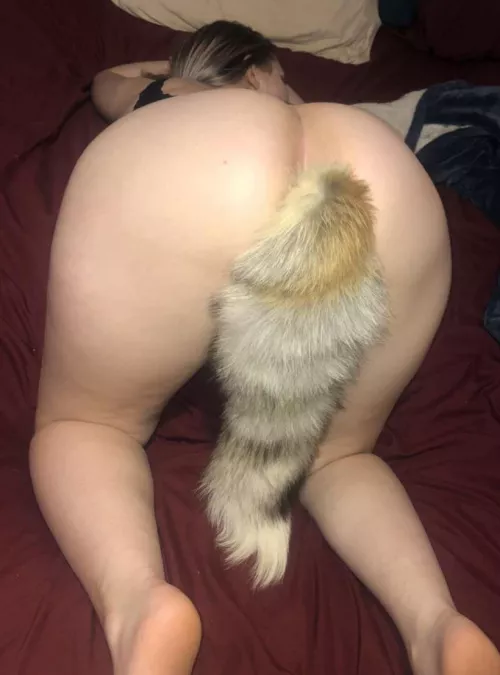 Pull my tail π