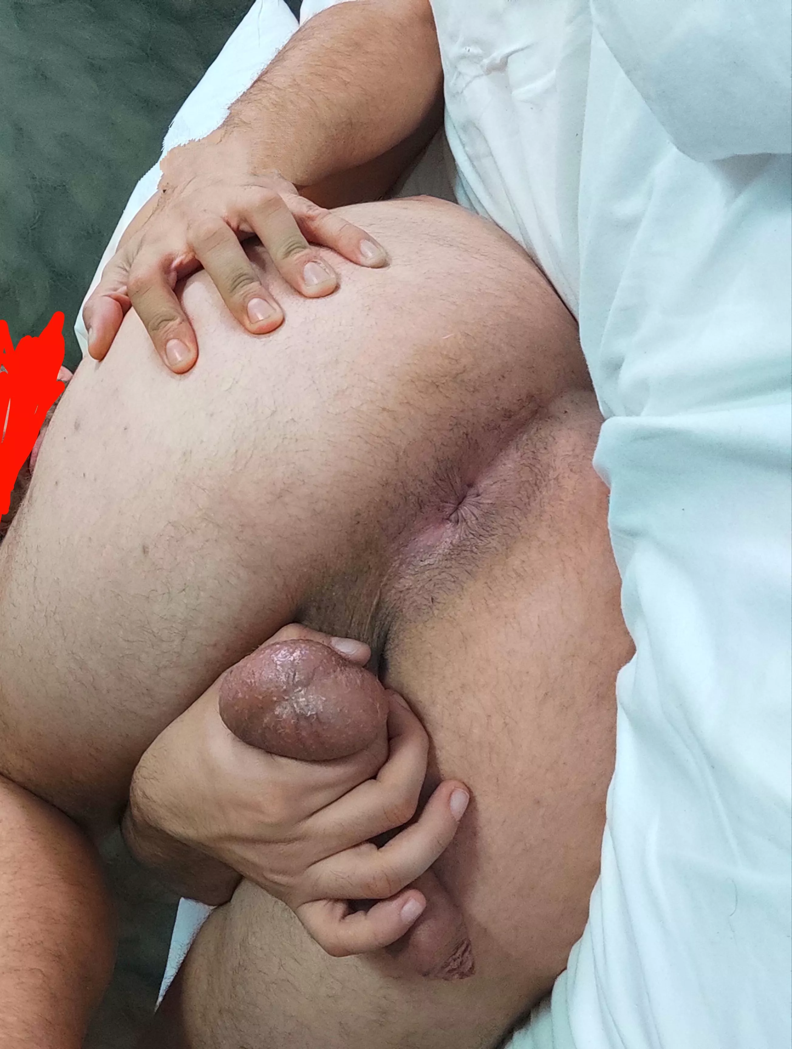 Pull the nuts and lick my ass slave Pull the nuts and lick my ass slave