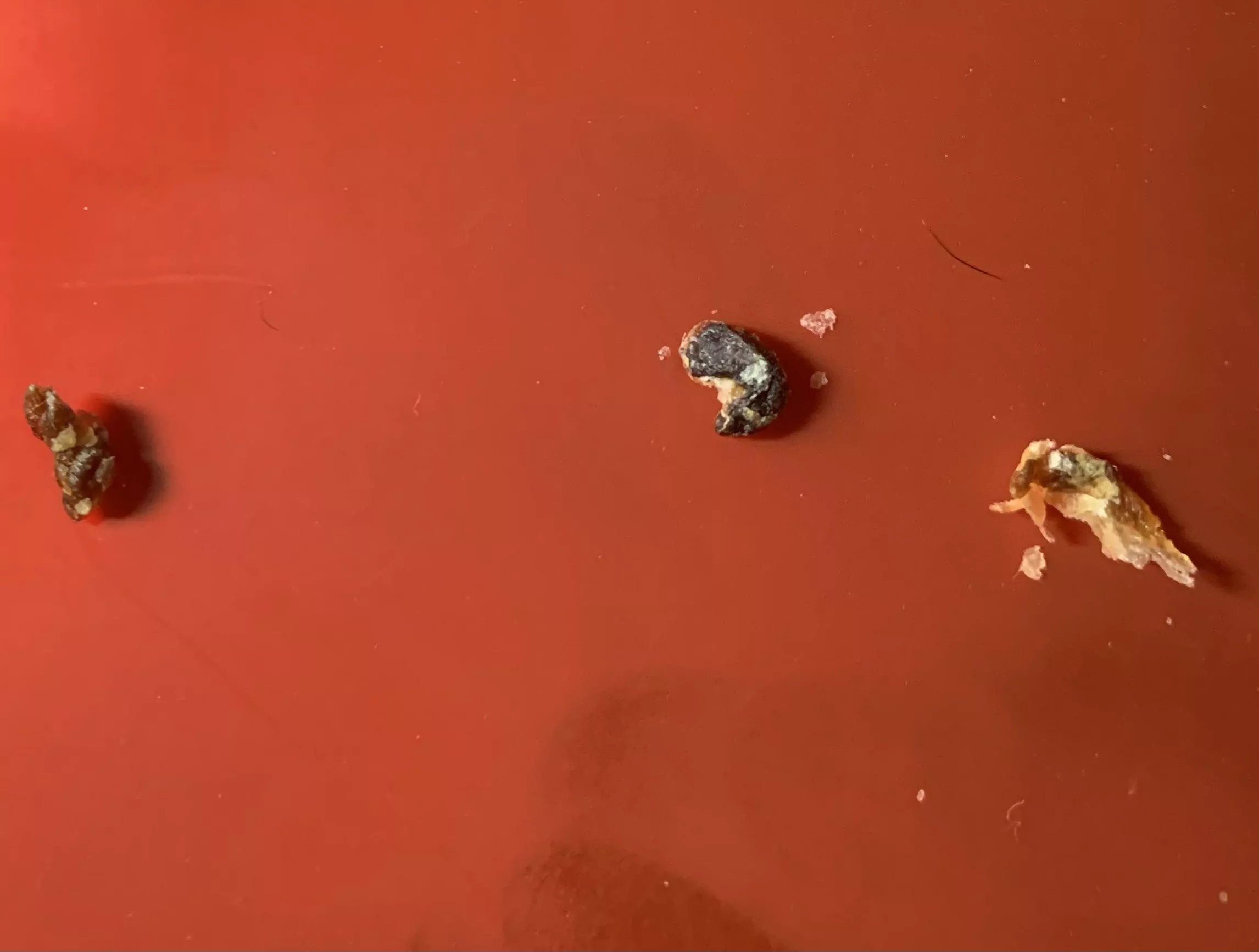 Pulled these out of my ears.