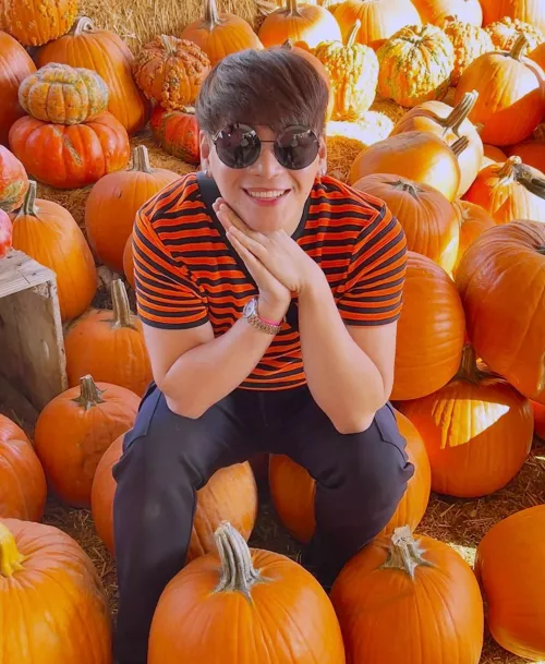 Pumpkin season once again! π