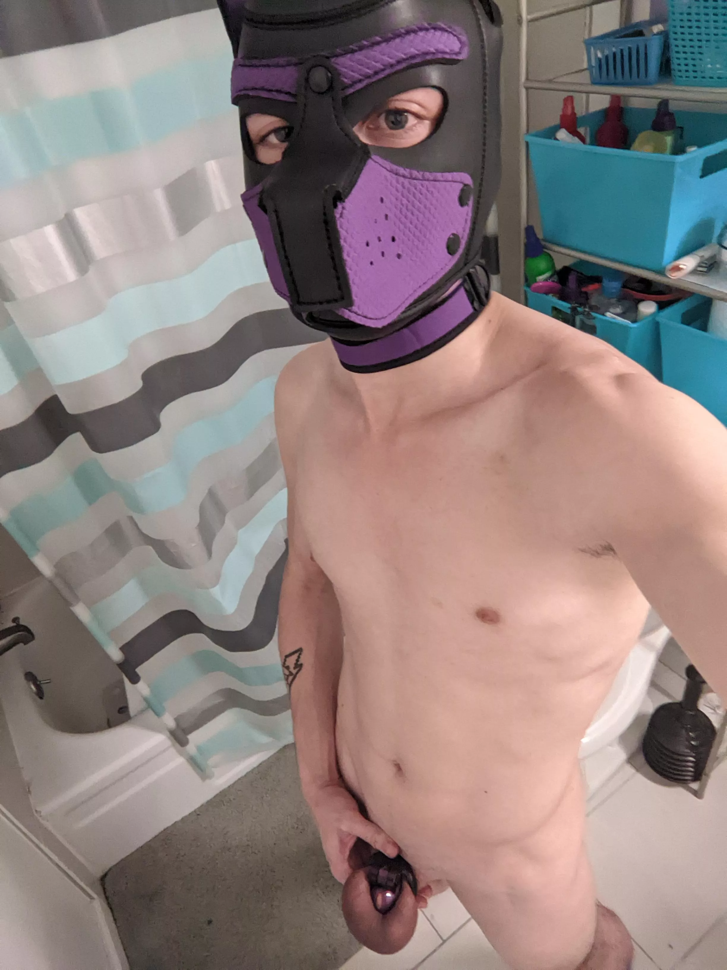 Pup Spark reporting in, Sir! 🔒🐶
