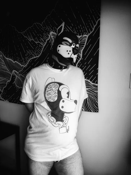 Puppy got a new shirt yesterday :3