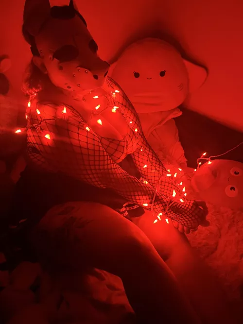 Puppy got tangled up in the lights!