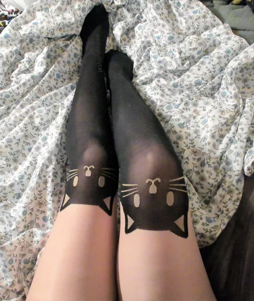 Purrrrrrfect! =^.^=