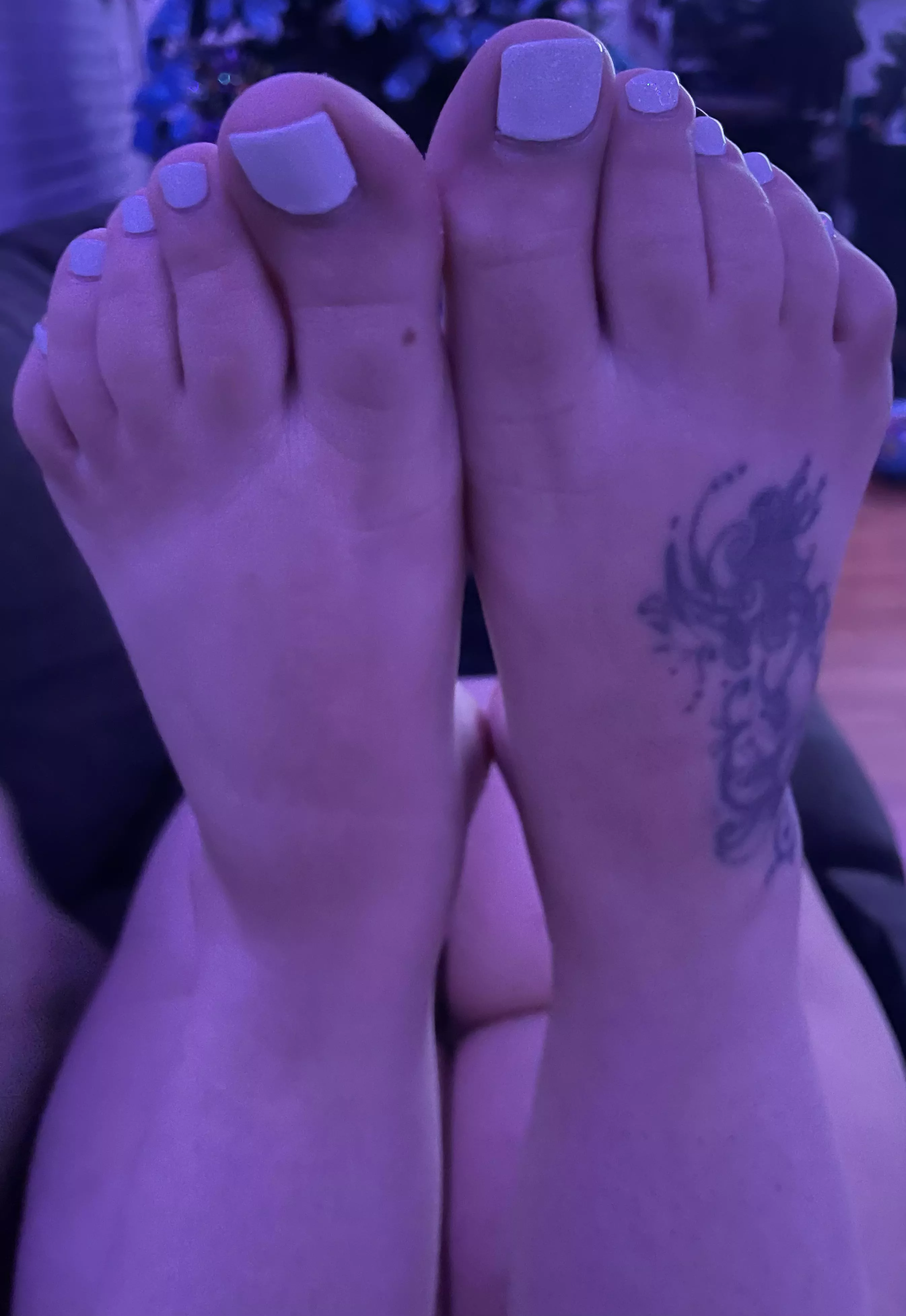 Put these in your mouth and enjoy the view 😉 Put these in your mouth and enjoy the view 😉