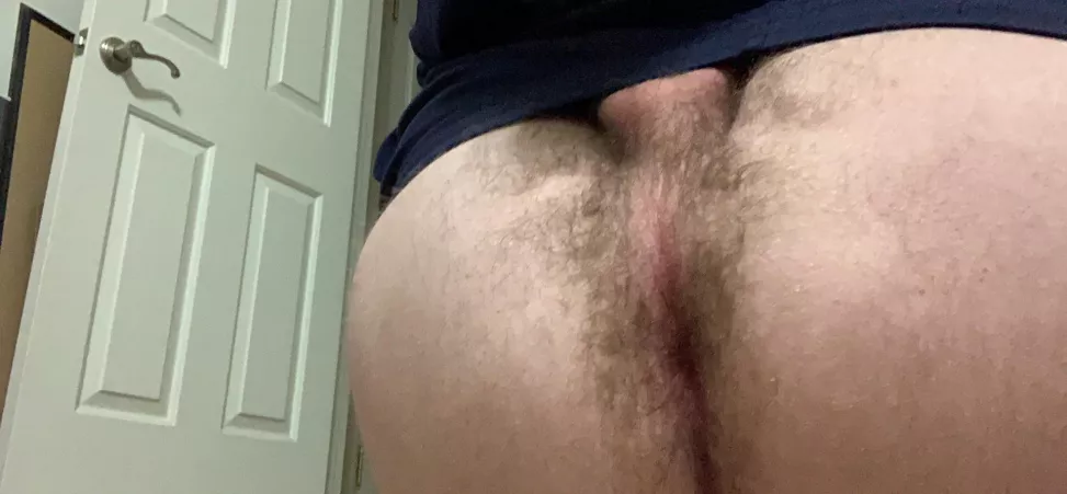 Quick, fuck me before they come back