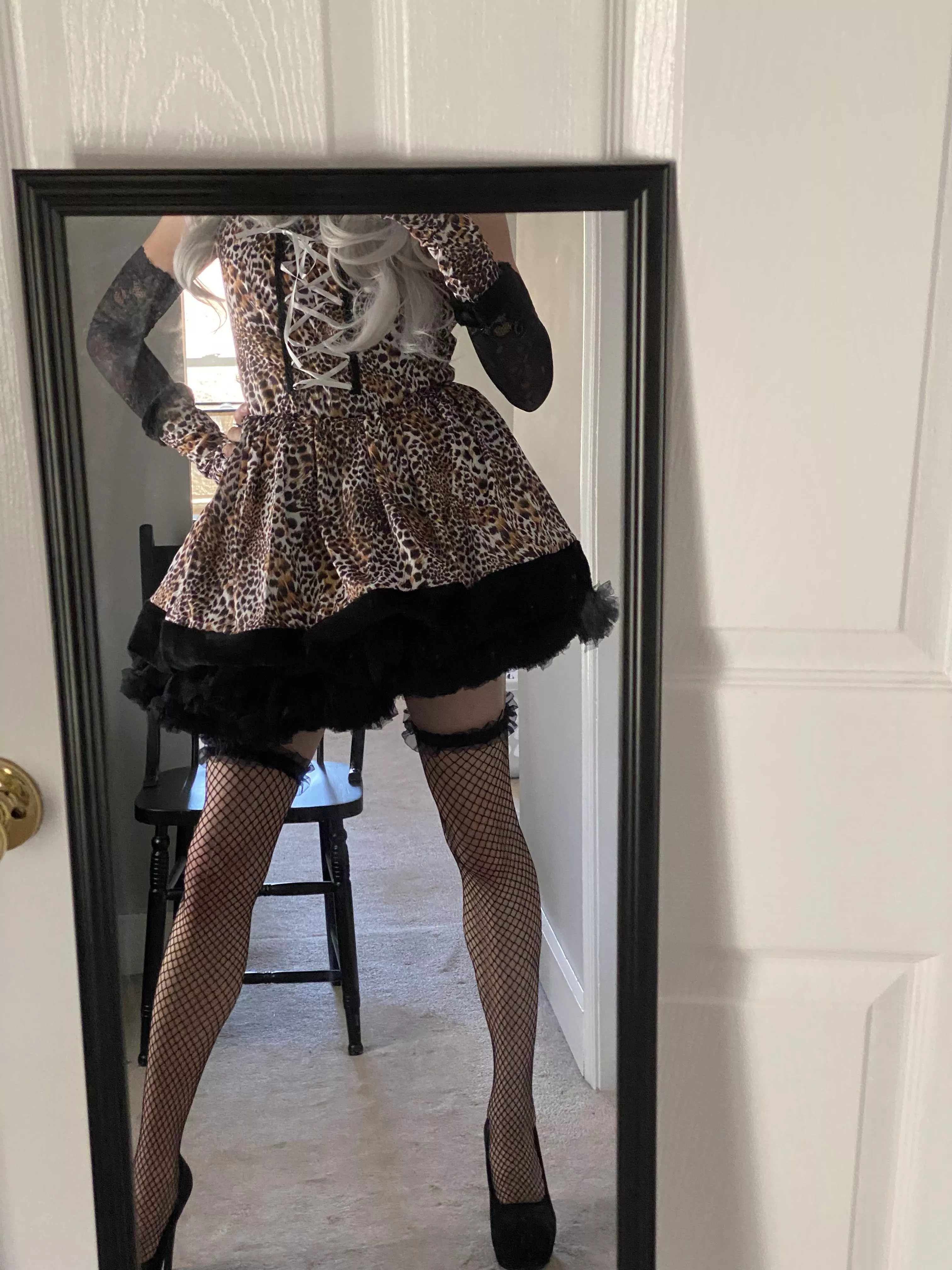 Quick preview! Anyone interested in being my tiger king?