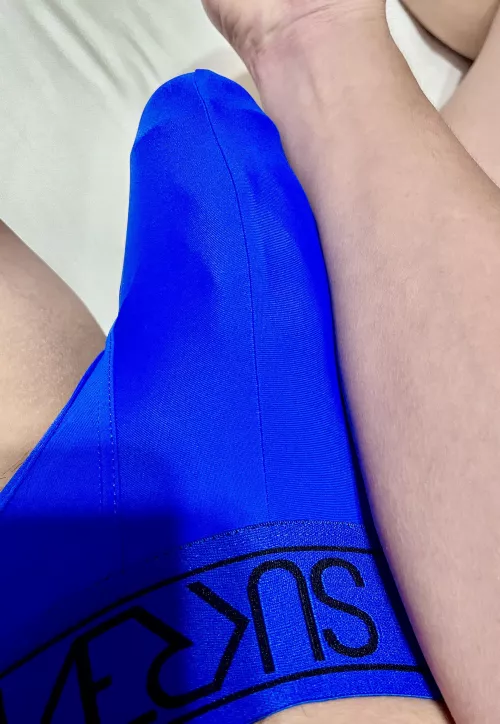 R8 my Briefs?