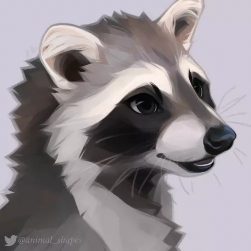 racoon by @animal_shapes on twitter!