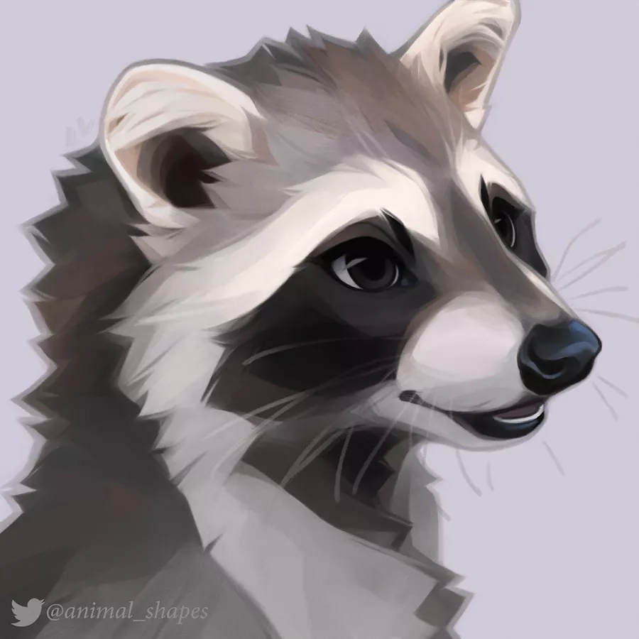 racoon by @animal_shapes on twitter!