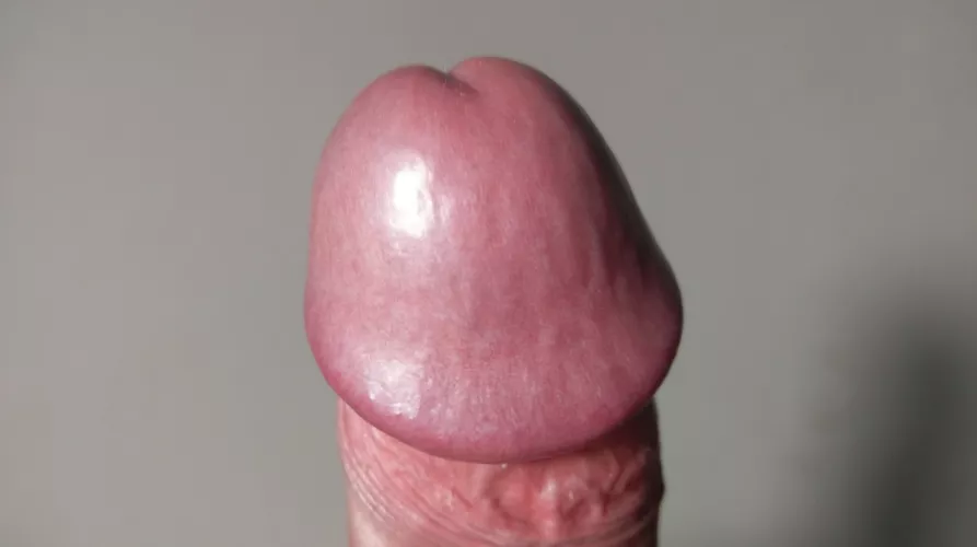 Rate my dick head please...