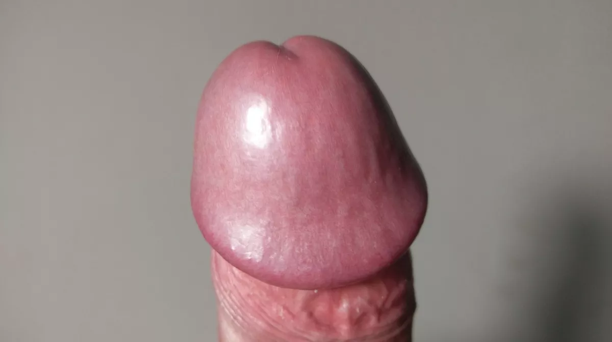 Rate my dick head please...