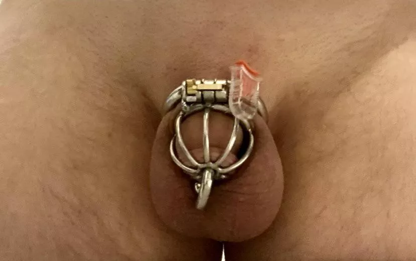 Rate my setup.. ;) small cage, 2ga PA and numbered seal