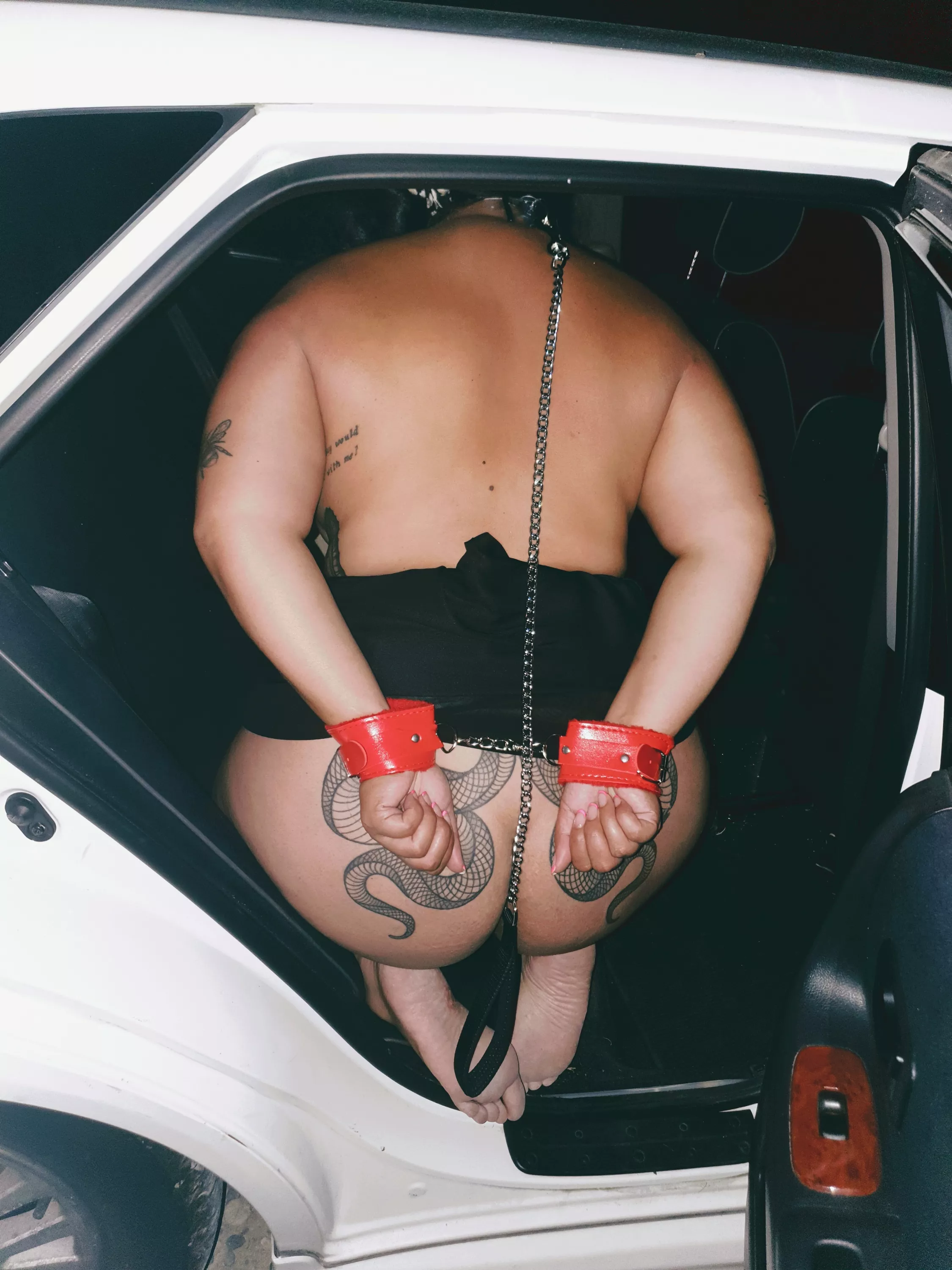 Ready for you to take me for a walk...