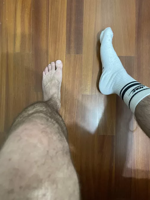 Ready to be smelt and licked