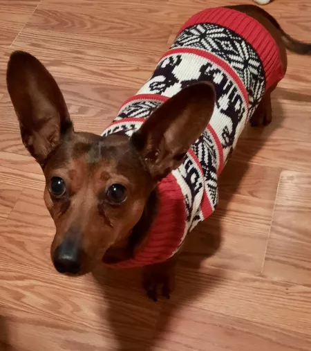 ready to shed her winter sweater