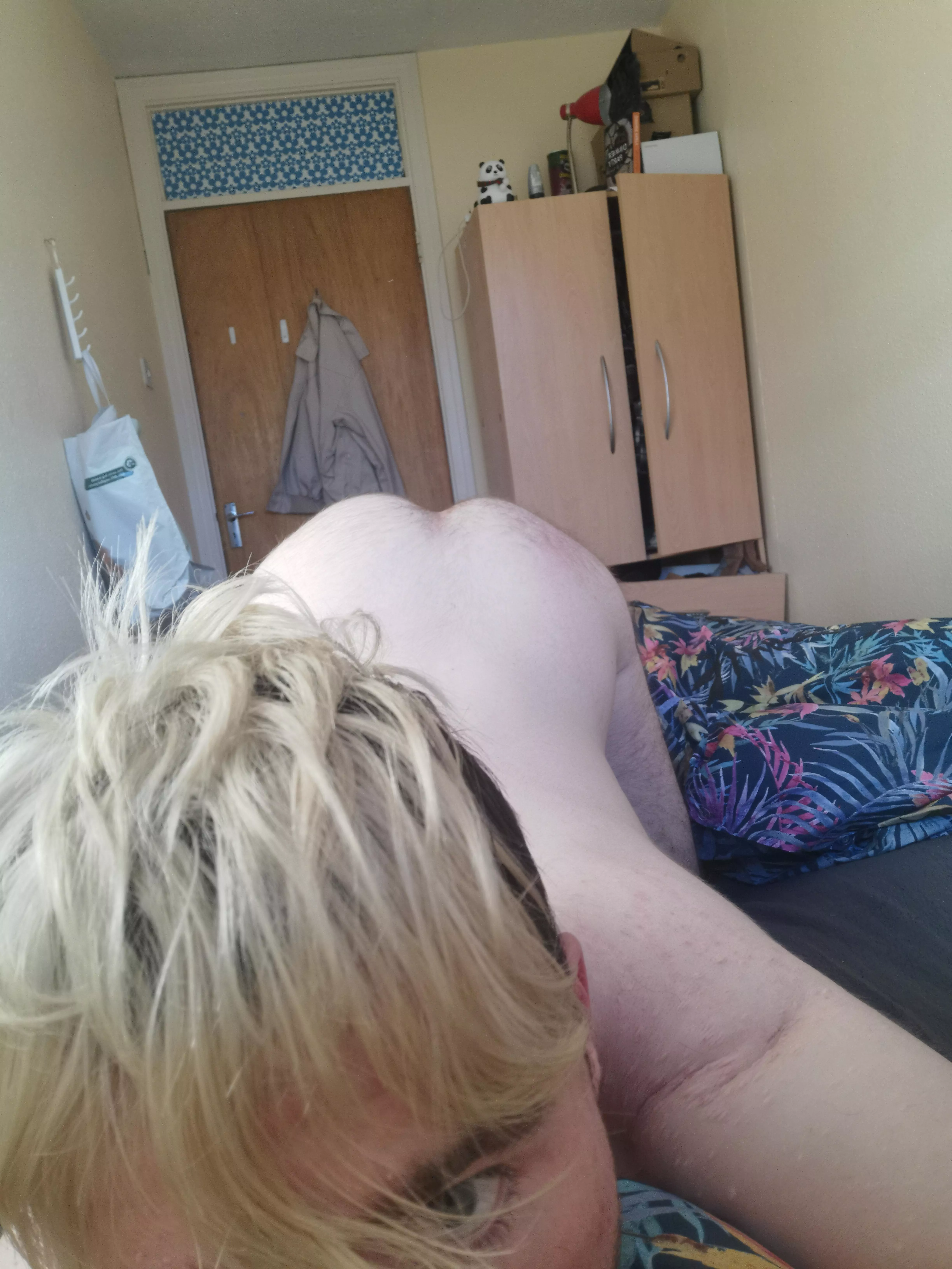 Ready to take anyone who opens the door