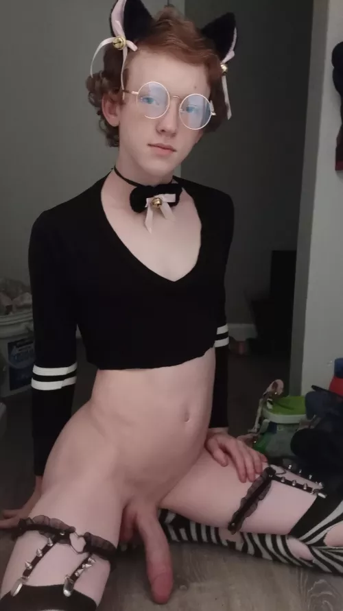 Real catboi hours