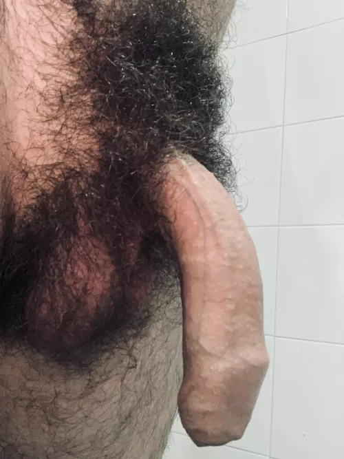 Real intact penis Dm