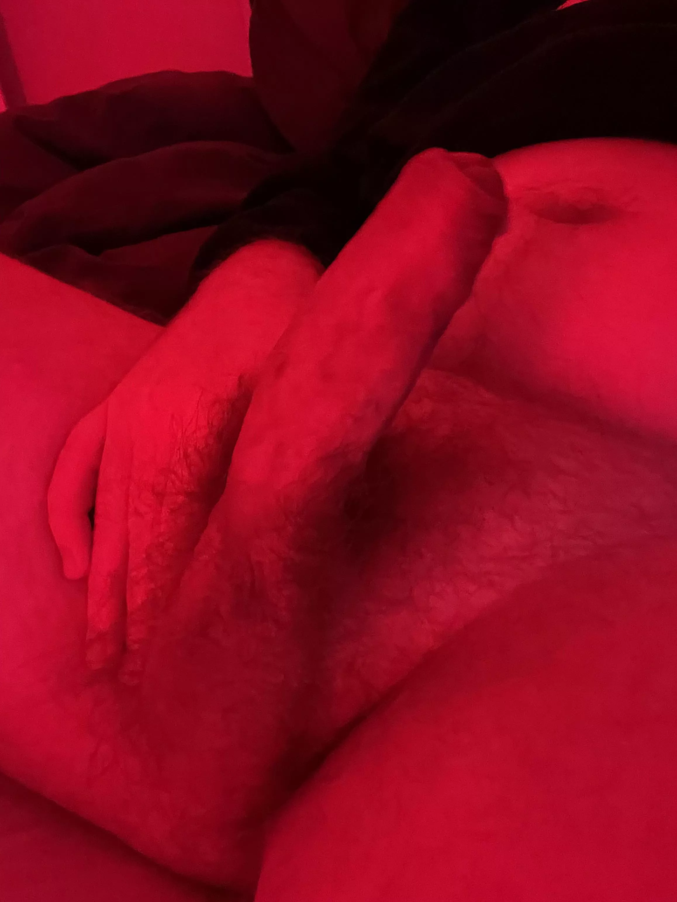 Red light on a ginger cock