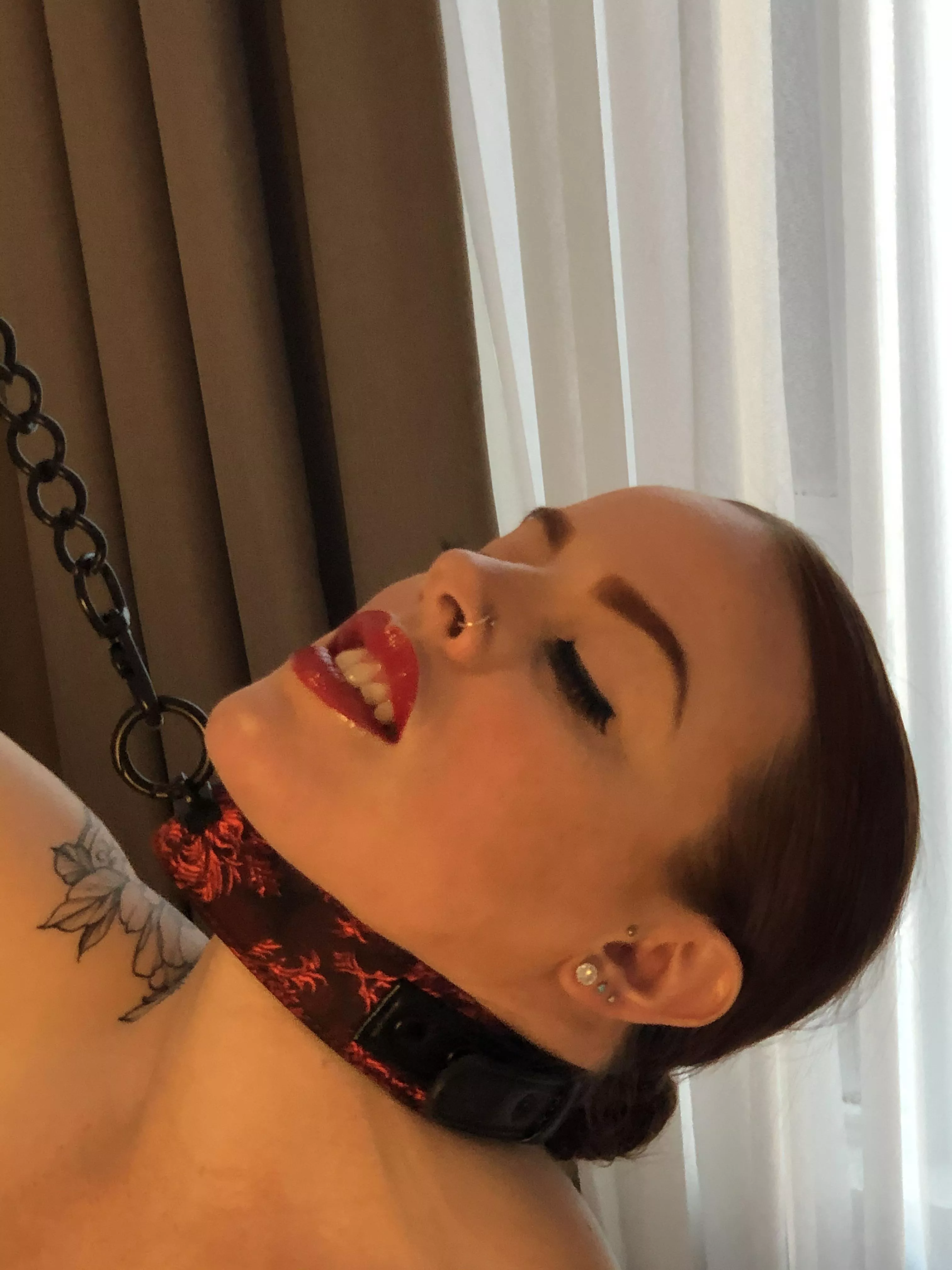 Red’s happy when she’s back on that leash... Red’s happy when she’s back on that leash...