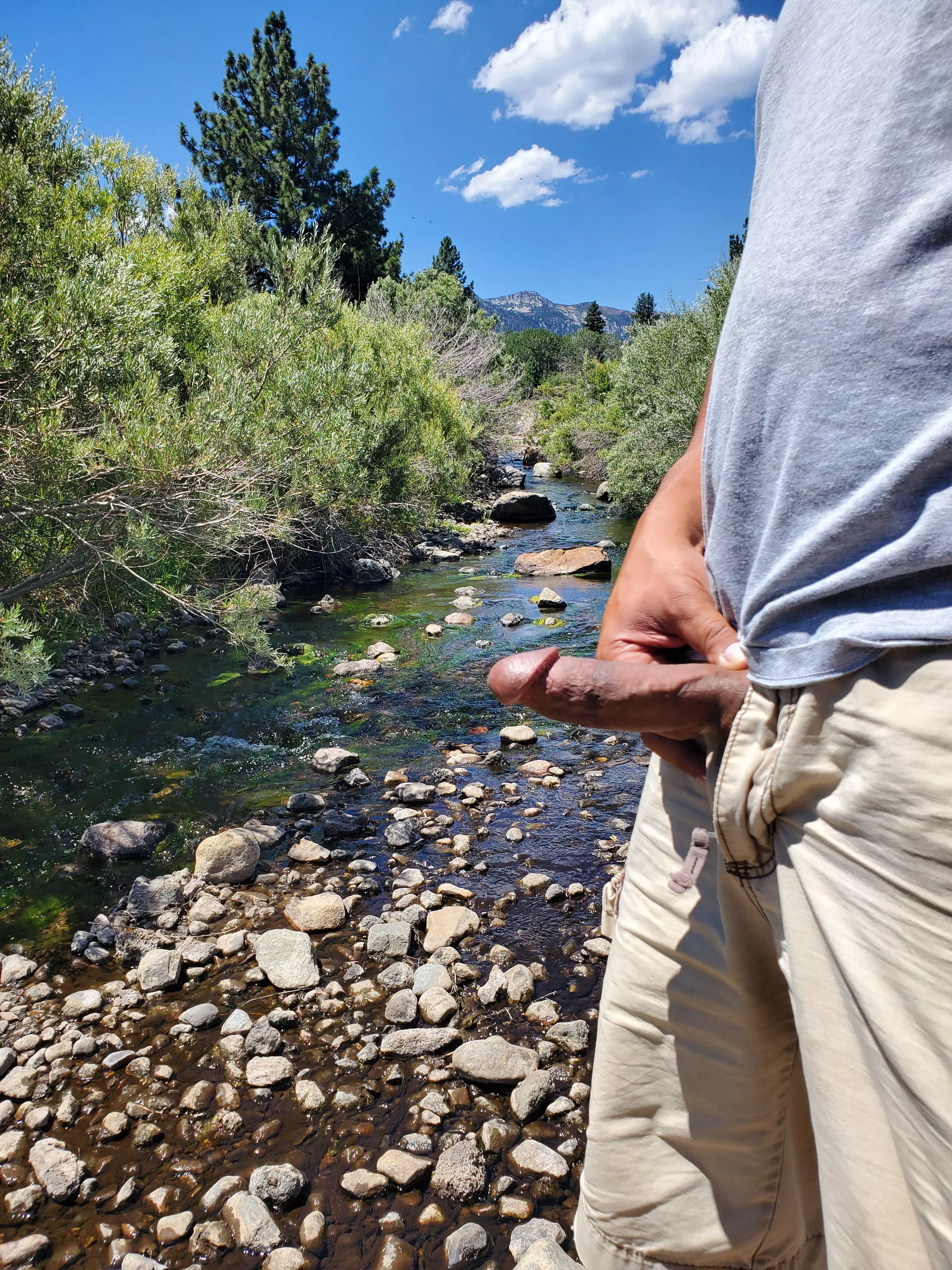 Releasing him into the wild.