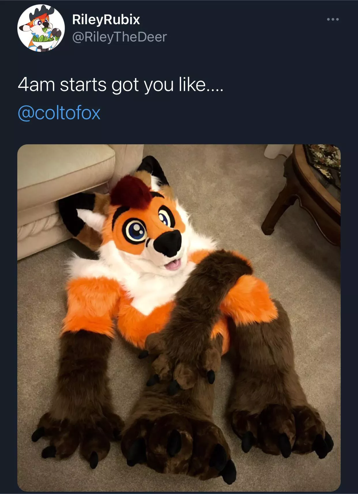 Rise and grind fluffbutt