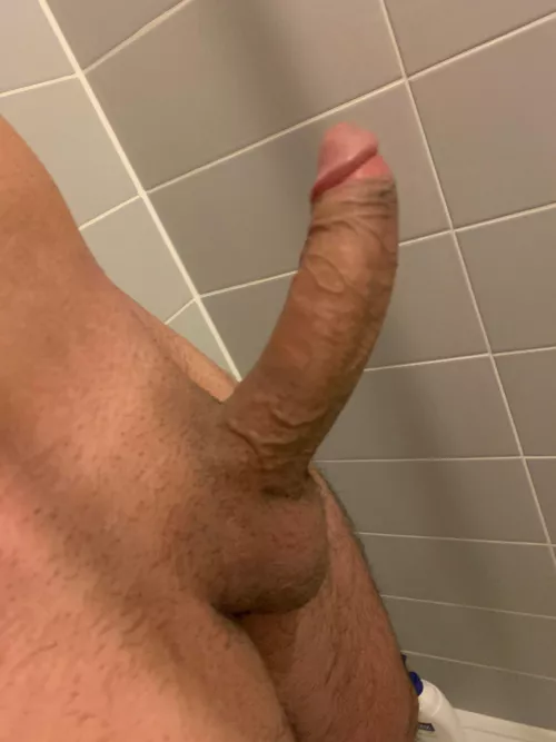 Rise and shine (38)