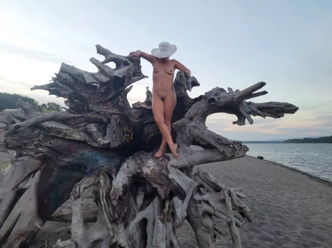 Root Me On Tree Pose Tuesday