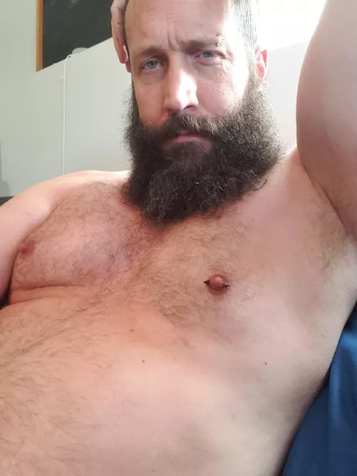 Rough and cuddly Daddy bear