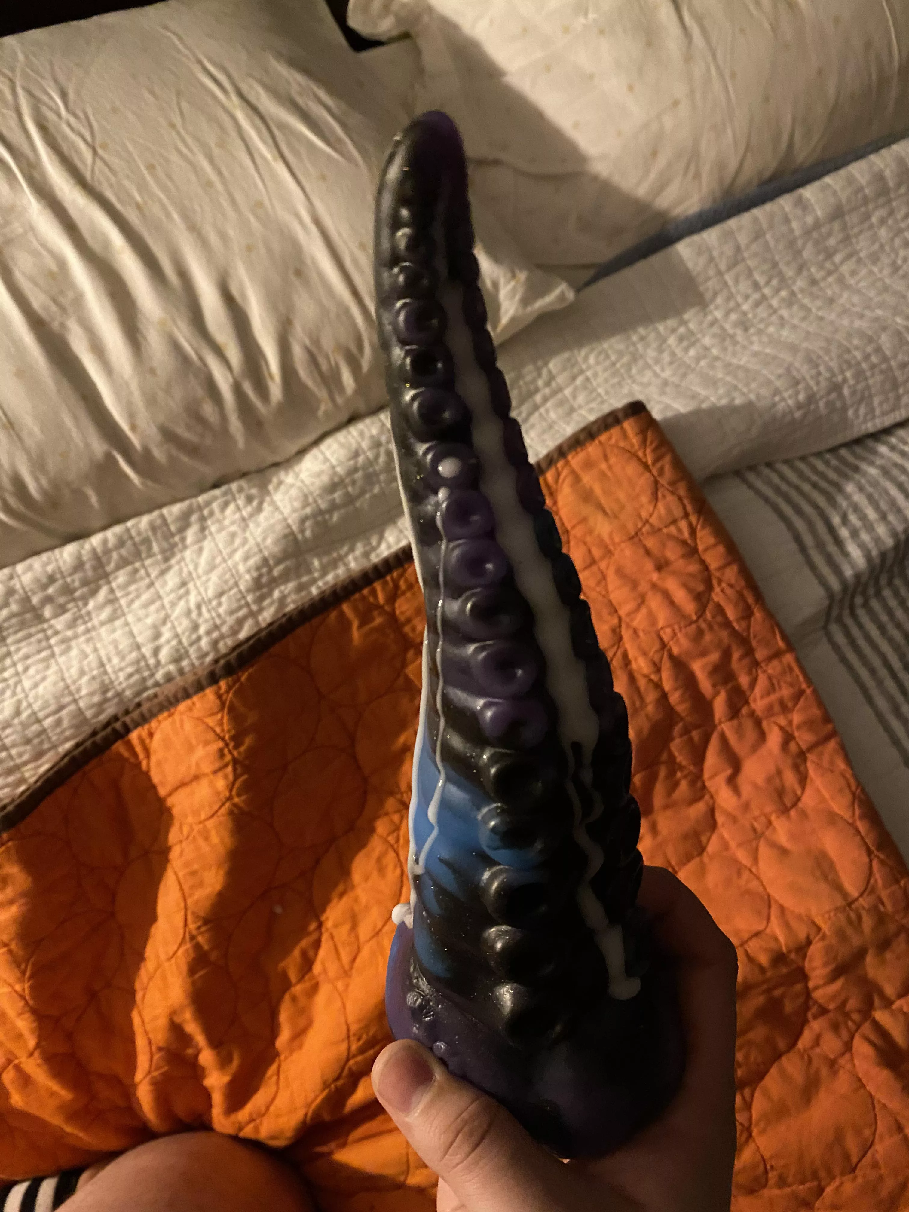 Round Two 🦑😍🦑