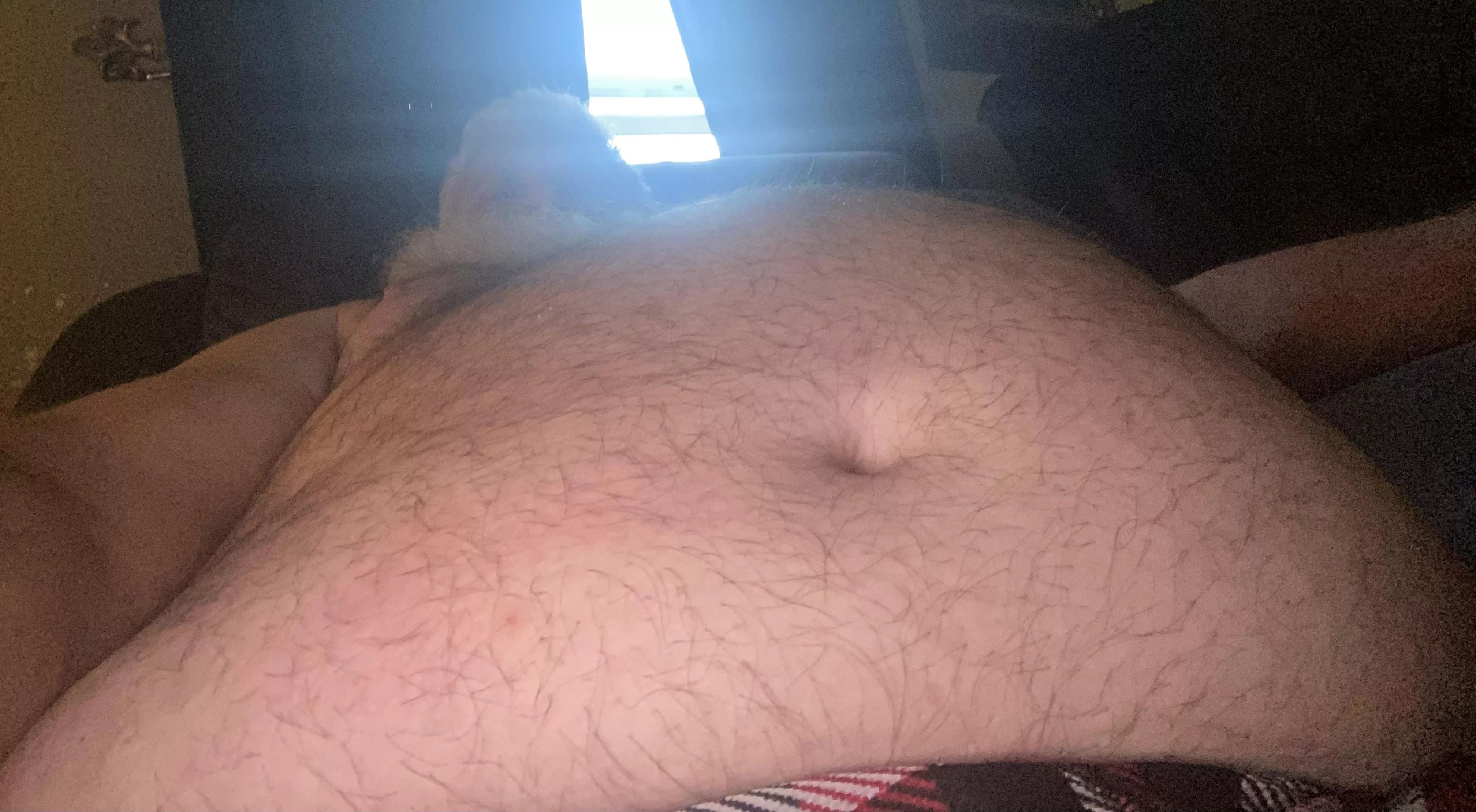 Rub my belly? Rub my belly?
