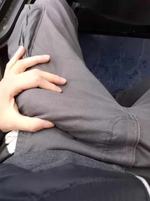 Rub my bulge on the bus while no one's looking