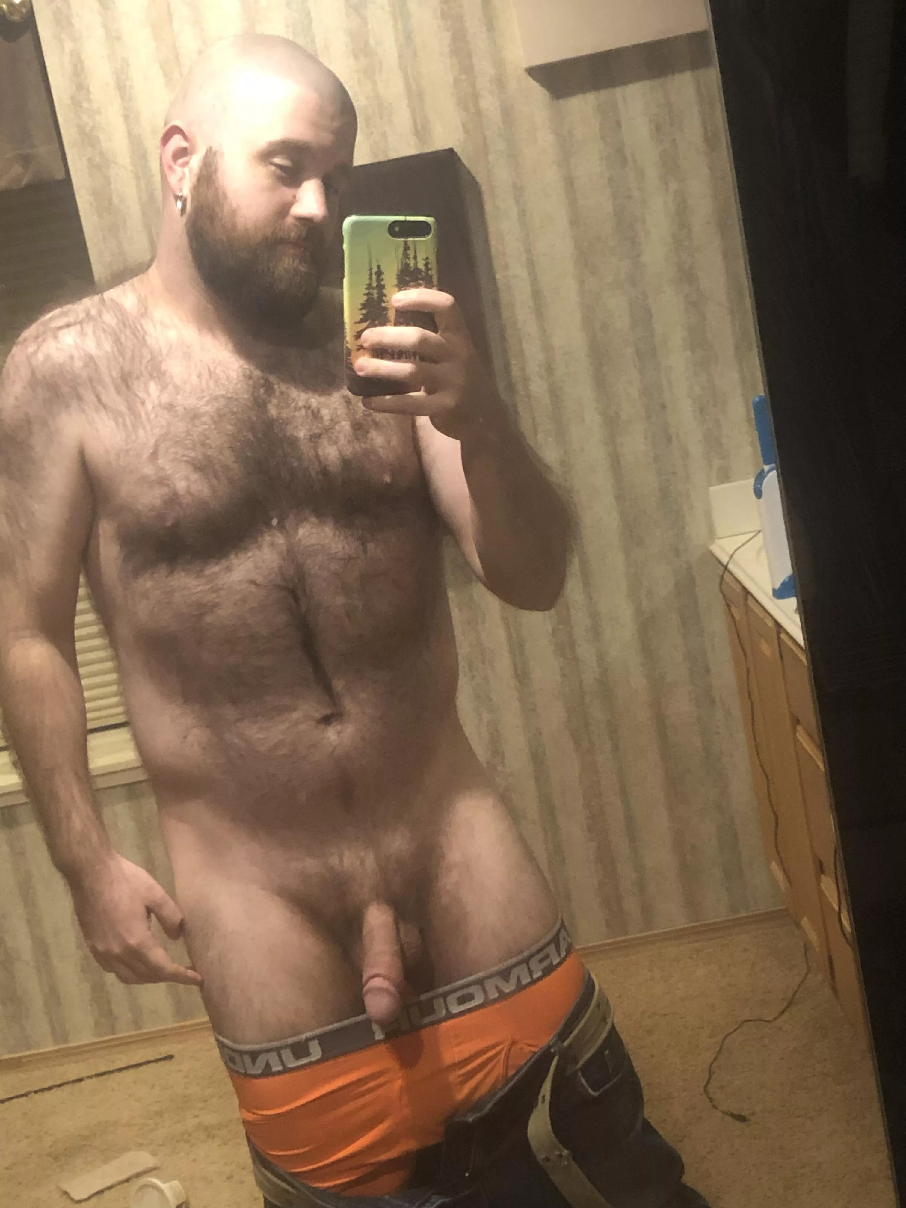 Rub this bear [37]