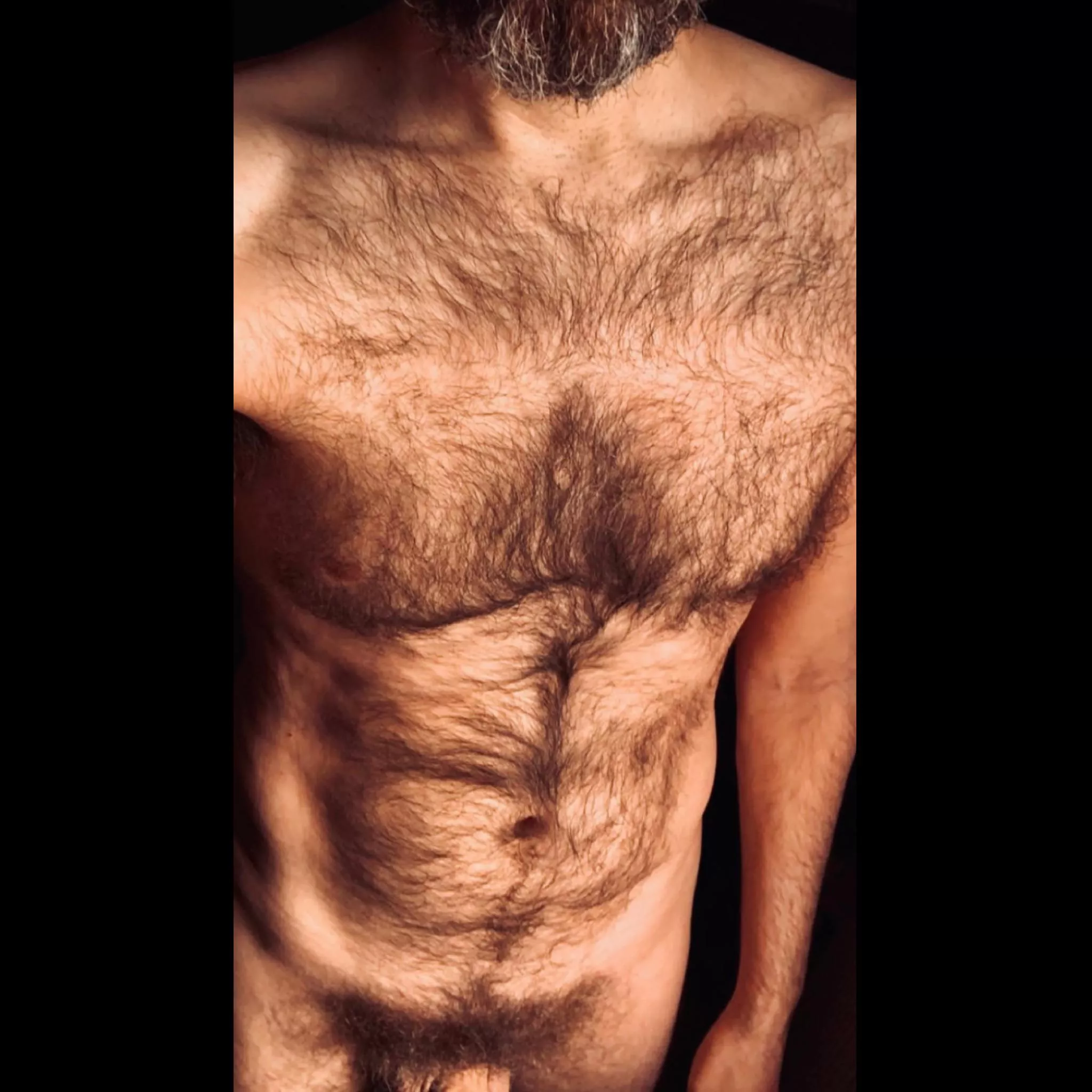 salt-n-pepper beard & bush