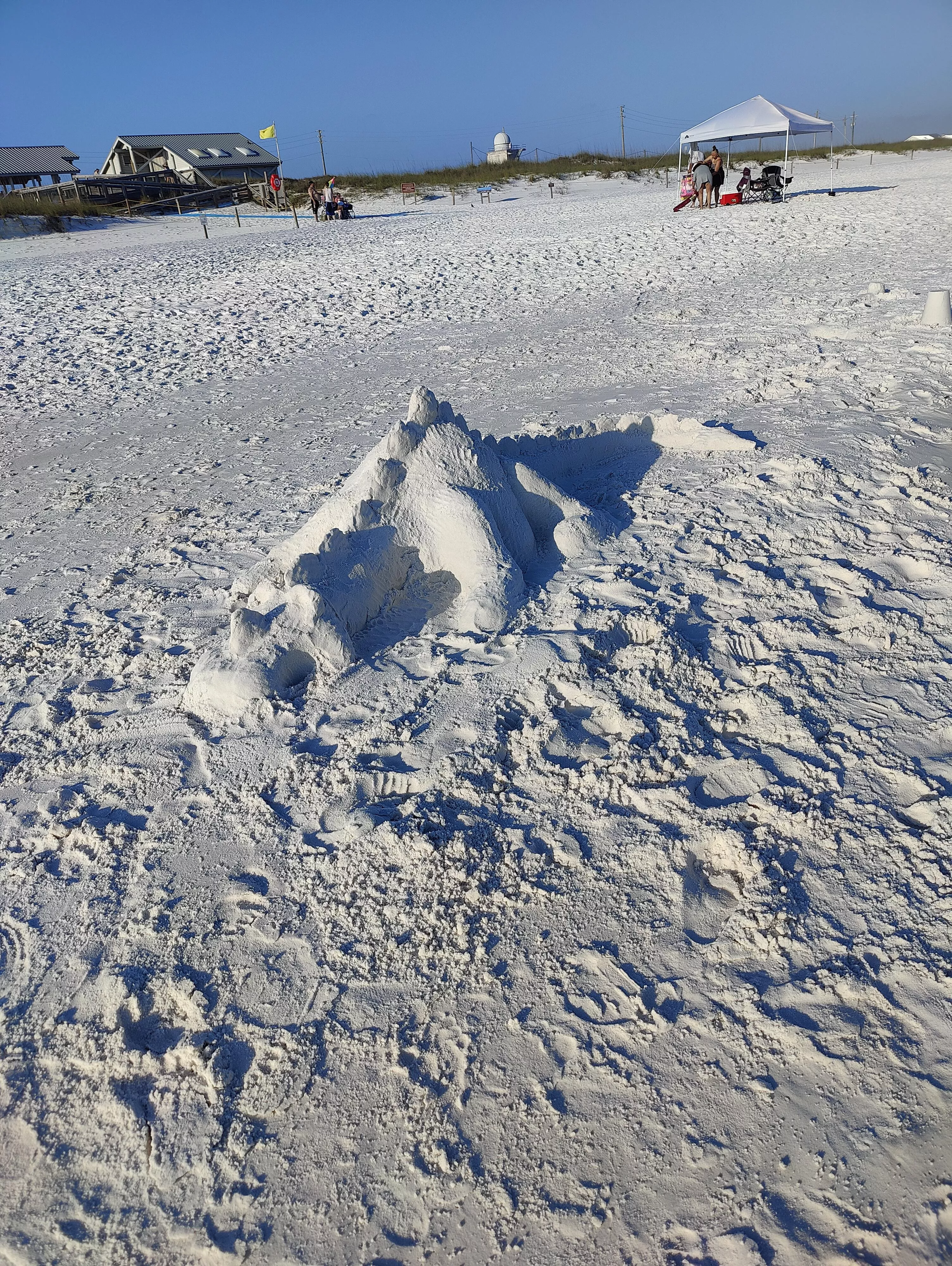 Sand crocodile I found