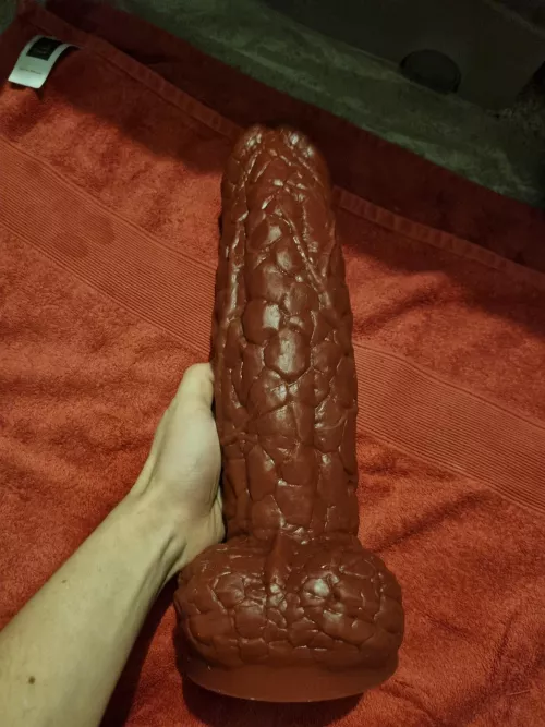 Santa brought me a new toy. Who wants to see me use it?
