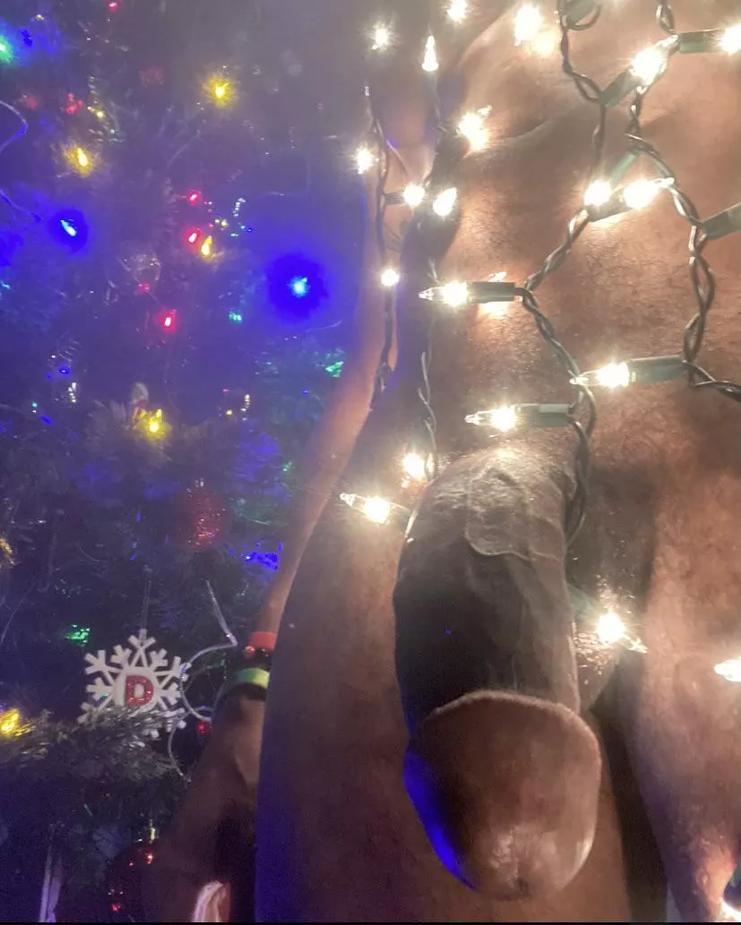 Santa 🎅🏾 left a gift 🎁 under the tree 🎄