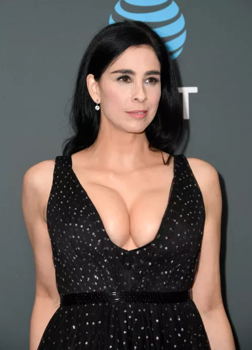 Sarah Silverman's breasts are just tremendous