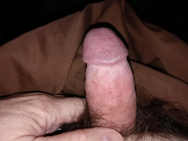 Saturday morning [64]