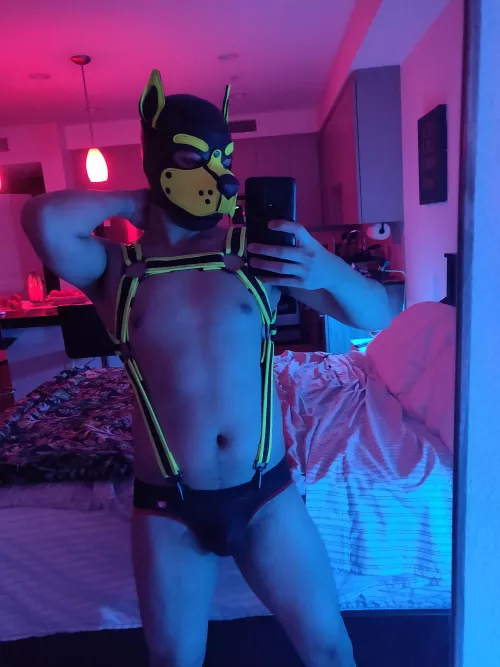 Saturday Night is shining on my Sunday morning face 🎶🎵🎶🎵