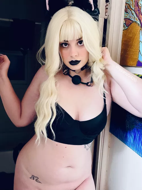 say hi if you want to see my π±