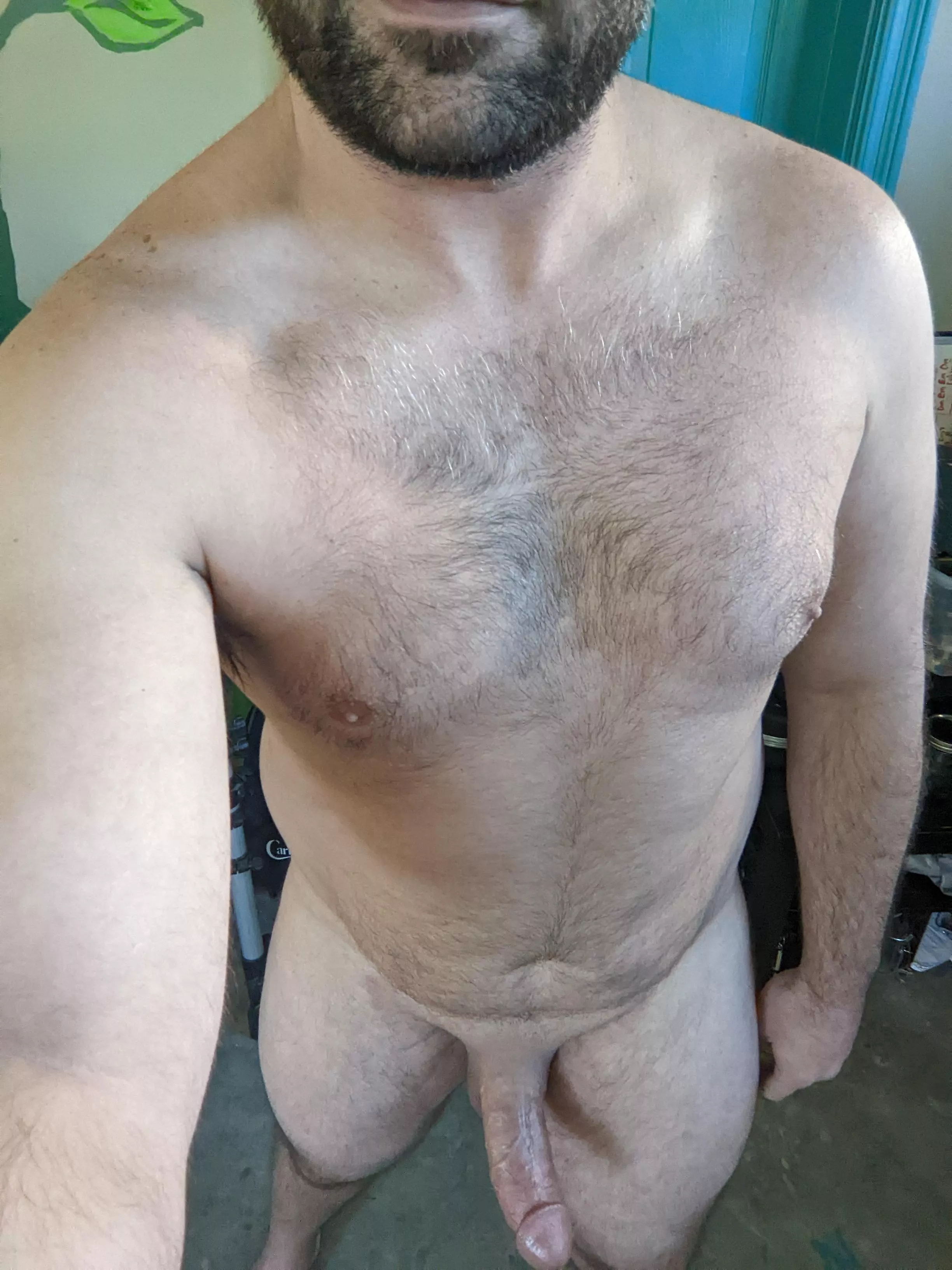 Scruffy chest, thick cock, let's play?