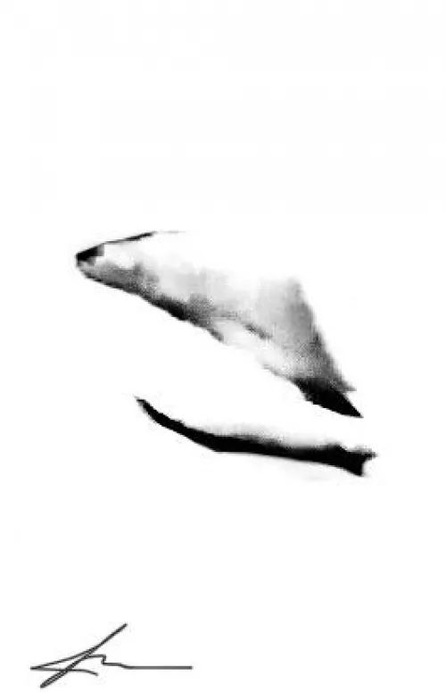 Seal on Snow (Labia) 2022, Original Content